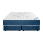 King Standard - Image 4